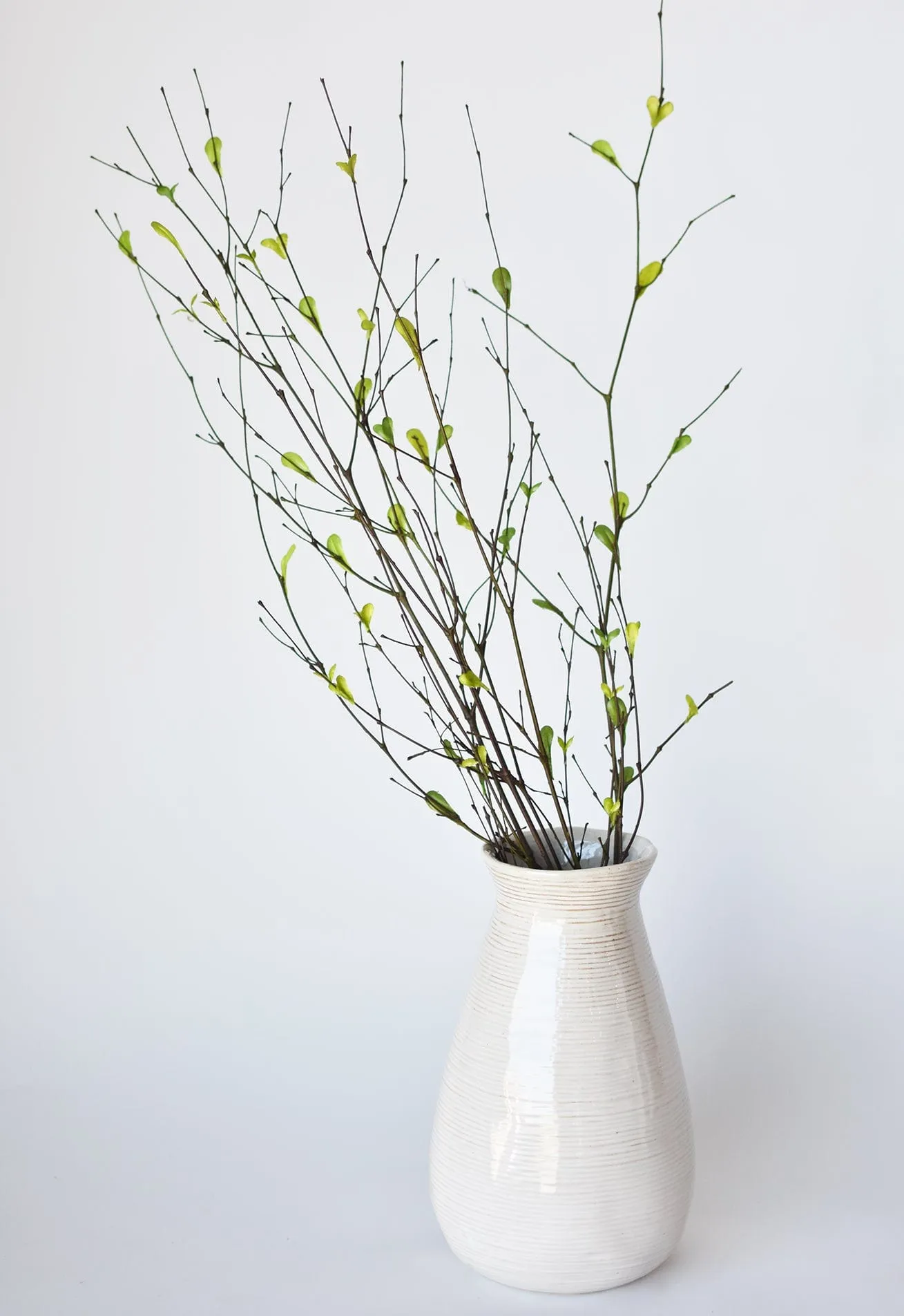 26" Branches with Faux Green Leaves