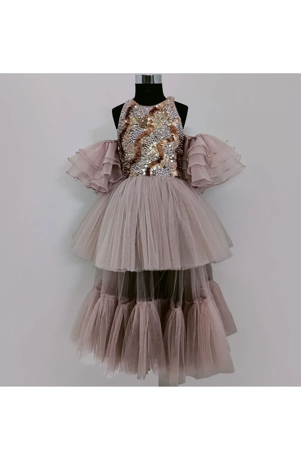 Champagne Sequins Embroidered Organza Tulle Gown