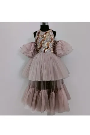 Champagne Sequins Embroidered Organza Tulle Gown