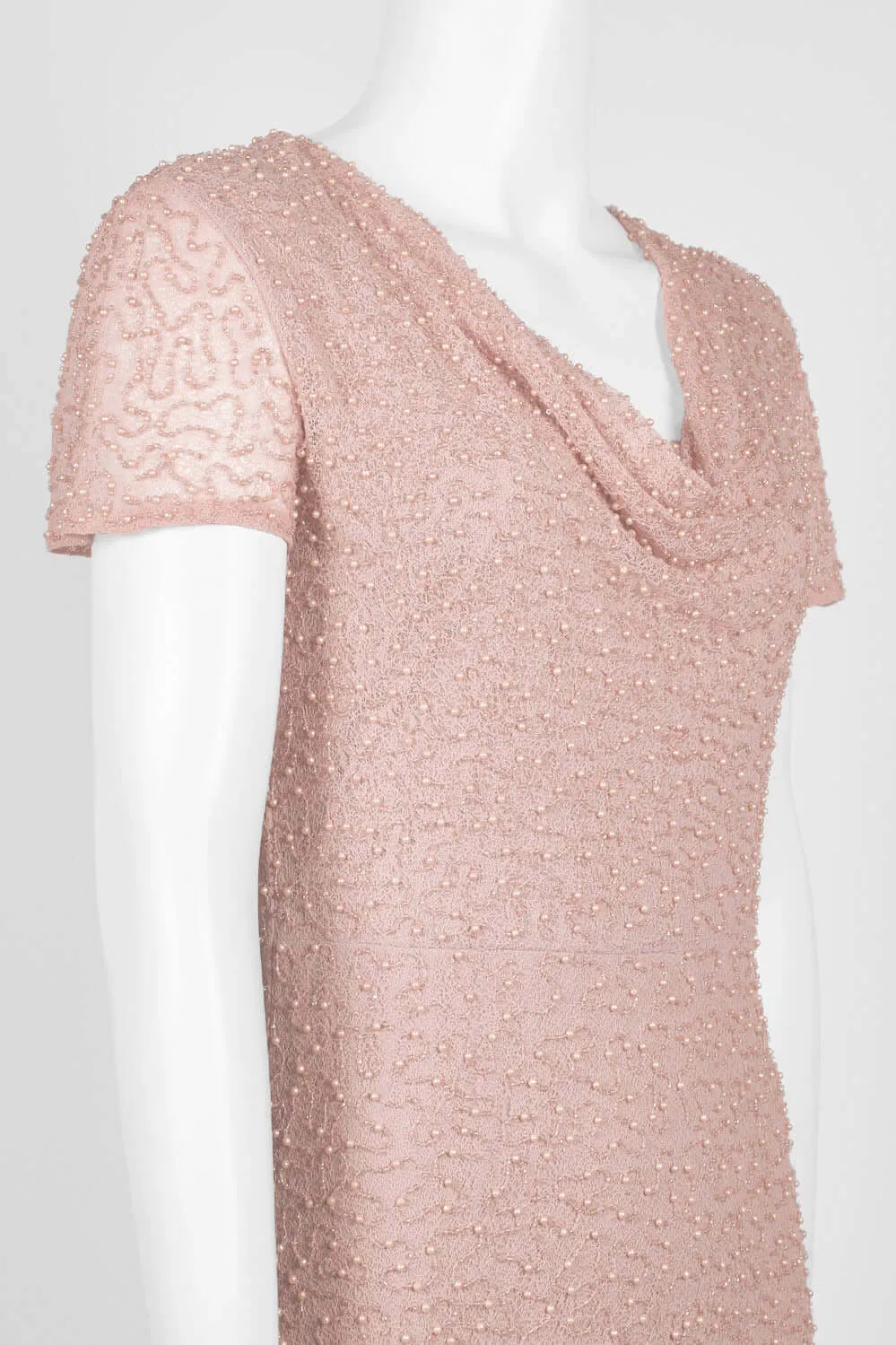 JS Collections Cowl Neck Short Sleeve Zipper Back Embellished Mesh Gown