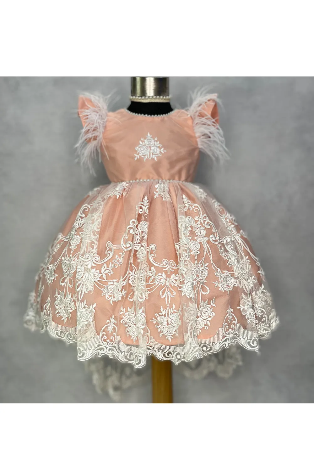 Peach and white embroidered net high low dress