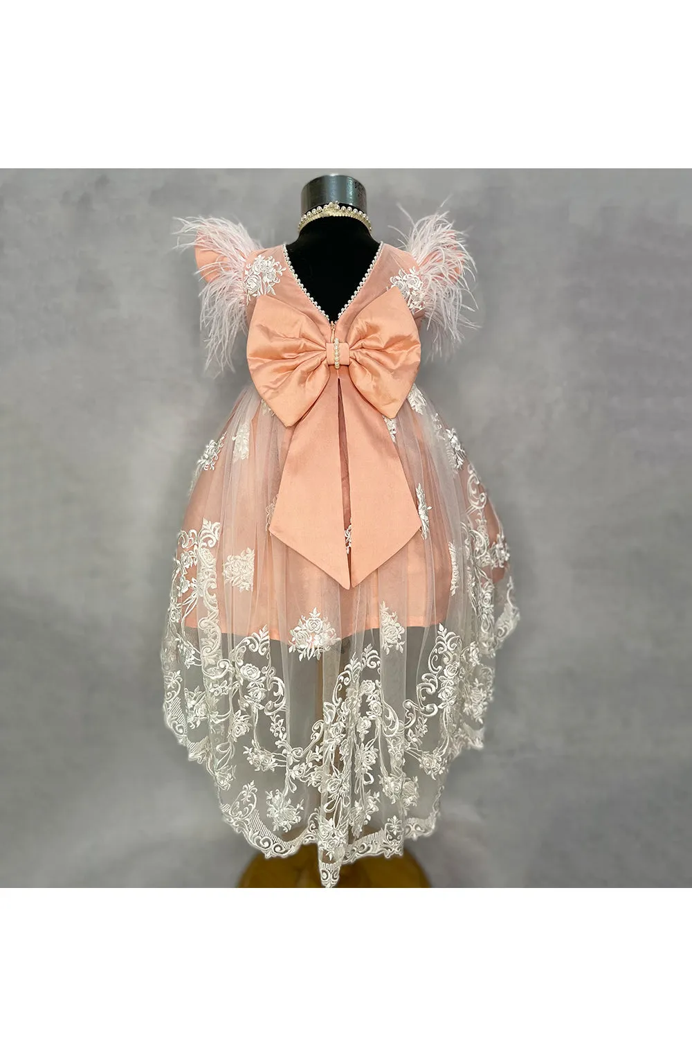 Peach and white embroidered net high low dress