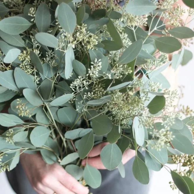Seeded Eucalyptus Greenery