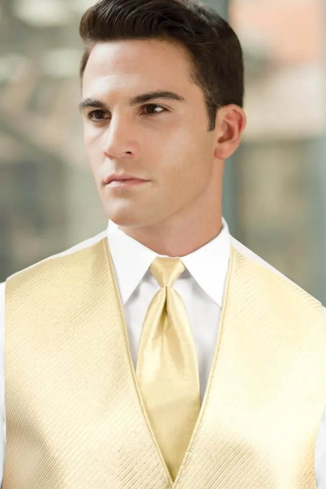 Solid Windsor Tie - All Dressed Up, Rental