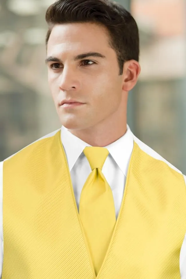 Solid Windsor Tie - All Dressed Up, Rental