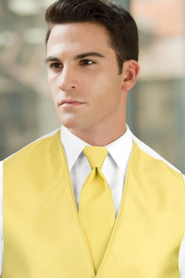 Solid Windsor Tie - All Dressed Up, Rental