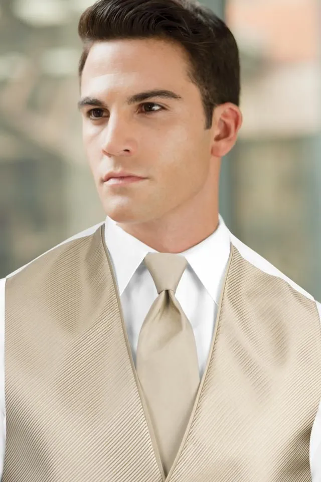 Solid Windsor Tie - All Dressed Up, Rental