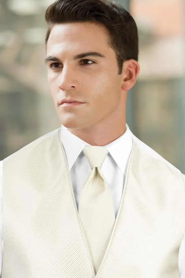 Solid Windsor Tie - All Dressed Up, Rental